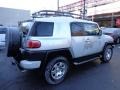 Titanium Metallic - FJ Cruiser 4WD Photo No. 12