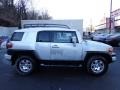 Titanium Metallic - FJ Cruiser 4WD Photo No. 13