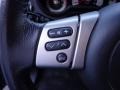 Titanium Metallic - FJ Cruiser 4WD Photo No. 18