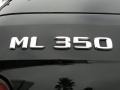 2010 Black Mercedes-Benz ML 350  photo #9