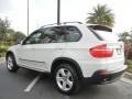 Alpine White 2009 BMW X5 xDrive30i Exterior