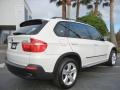 Alpine White 2009 BMW X5 xDrive30i Exterior