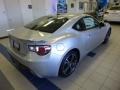 Sterling Silver Metallic - BRZ Limited Photo No. 6