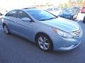 Iridescent Silver Blue Metallic - Sonata Limited Photo No. 4
