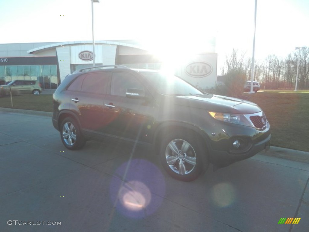 2012 Sorento EX V6 - Java Brown / Black photo #1