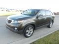 Java Brown - Sorento EX V6 Photo No. 7