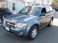 2010 Steel Blue Metallic Ford Escape Limited V6 4WD  photo #3