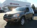 Pyrite Metallic - RAV4 I4 4WD Photo No. 1