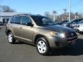 Pyrite Metallic - RAV4 I4 4WD Photo No. 3