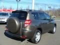 Pyrite Metallic - RAV4 I4 4WD Photo No. 4