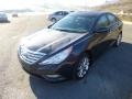 Pacific Blue Pearl - Sonata SE 2.0T Photo No. 3