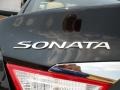 2011 Midnight Black Hyundai Sonata Limited 2.0T  photo #15