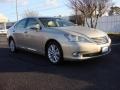 Satin Cashmere Metallic - ES 350 Photo No. 1