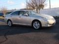 Satin Cashmere Metallic - ES 350 Photo No. 2