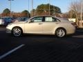 Satin Cashmere Metallic - ES 350 Photo No. 3