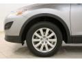 Liquid Silver Metallic - CX-9 Touring Photo No. 25