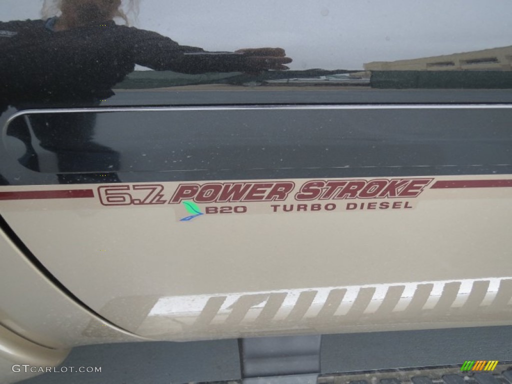 2013 F250 Super Duty King Ranch Crew Cab 4x4 - Tuxedo Black Metallic / King Ranch Chaparral Leather/Black Trim photo #14