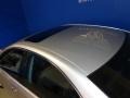 Classic Silver Metallic - ES 330 Photo No. 27