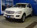 Arctic White - ML 350 4Matic Photo No. 3