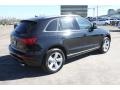 Phantom Black Pearl - Q5 2.0 TFSI hybrid quattro Photo No. 8