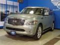 2011 Mountain Sage Infiniti QX 56 4WD  photo #3