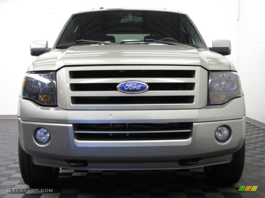 Vapor Silver Metallic 2008 Ford Expedition Limited 4x4 Exterior Photo #74846048