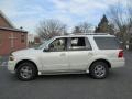 Cashmere Tri-Coat Metallic - Expedition Limited 4x4 Photo No. 3