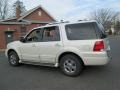 Cashmere Tri-Coat Metallic - Expedition Limited 4x4 Photo No. 4