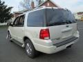 Cashmere Tri-Coat Metallic - Expedition Limited 4x4 Photo No. 5