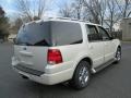 Cashmere Tri-Coat Metallic - Expedition Limited 4x4 Photo No. 7