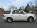 Cashmere Tri-Coat Metallic - Expedition Limited 4x4 Photo No. 9
