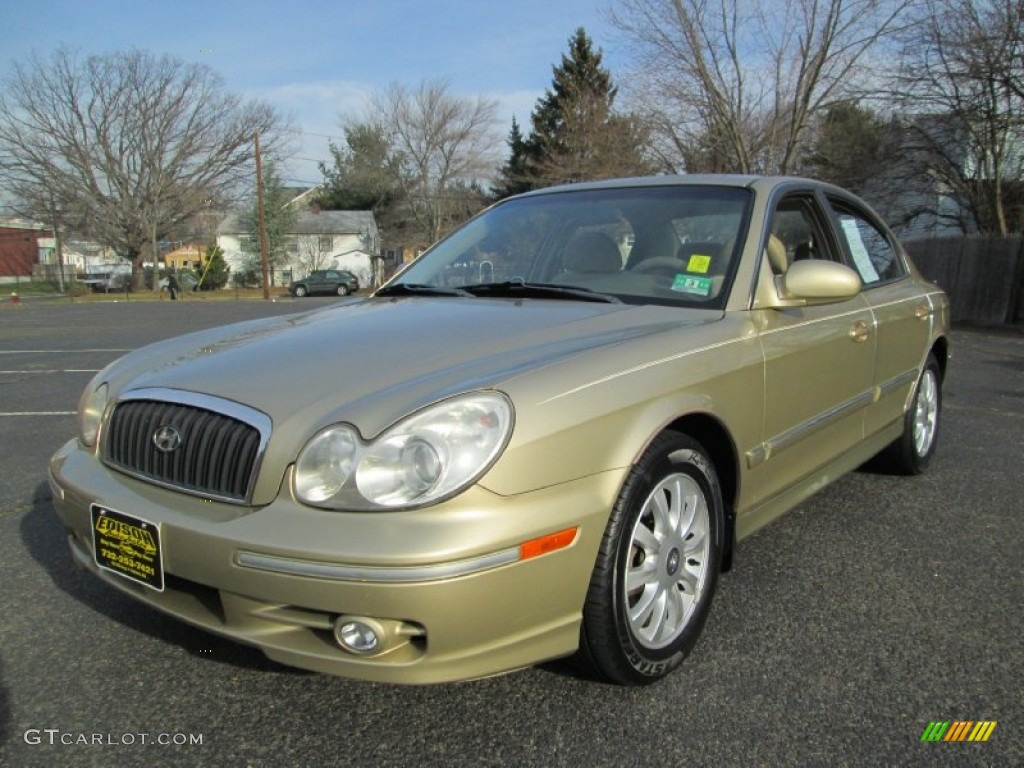 Celadon Green 2004 Hyundai Sonata V6 Exterior Photo #74853350