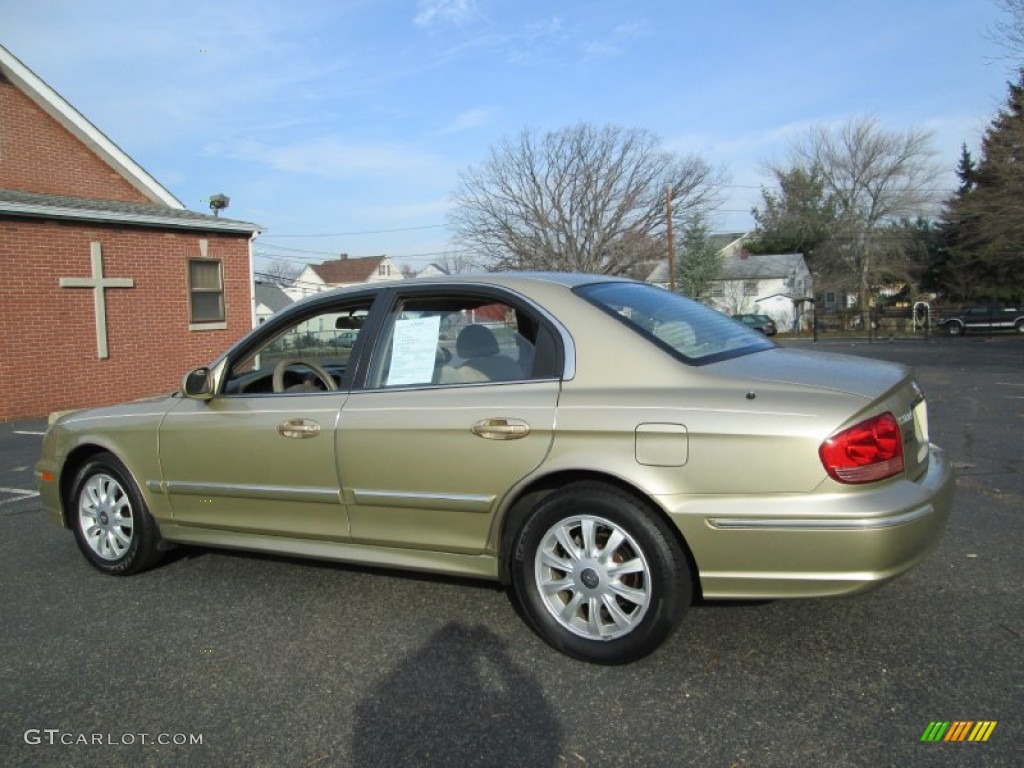 Celadon Green 2004 Hyundai Sonata V6 Exterior Photo #74853386