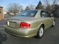 2004 Celadon Green Hyundai Sonata V6  photo #7