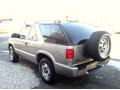 Light Pewter Metallic - Blazer LS 4x4 Photo No. 4