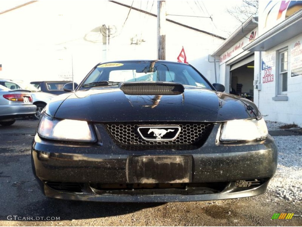 Black 2003 Ford Mustang V6 Coupe Exterior Photo #74860886