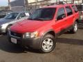 2002 Bright Red Ford Escape XLT V6 4WD  photo #1