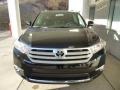Black - Highlander SE 4WD Photo No. 6