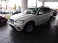 Alpine White - X5 xDrive35d Photo No. 25