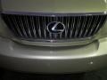 Savannah Beige Metallic - RX 330 Photo No. 5