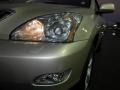 2004 Savannah Beige Metallic Lexus RX 330  photo #7