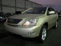 2004 Savannah Beige Metallic Lexus RX 330  photo #9