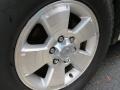 Titanium Metallic - 4Runner Limited 4x4 Photo No. 5