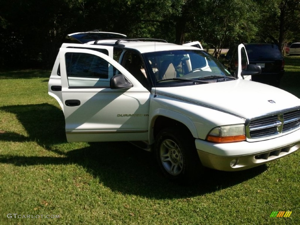 2001 Durango SLT - Bright White / Sandstone photo #9