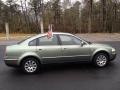 Fresco Green Metallic - Passat GLS Sedan Photo No. 6