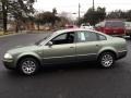 Fresco Green Metallic - Passat GLS Sedan Photo No. 17