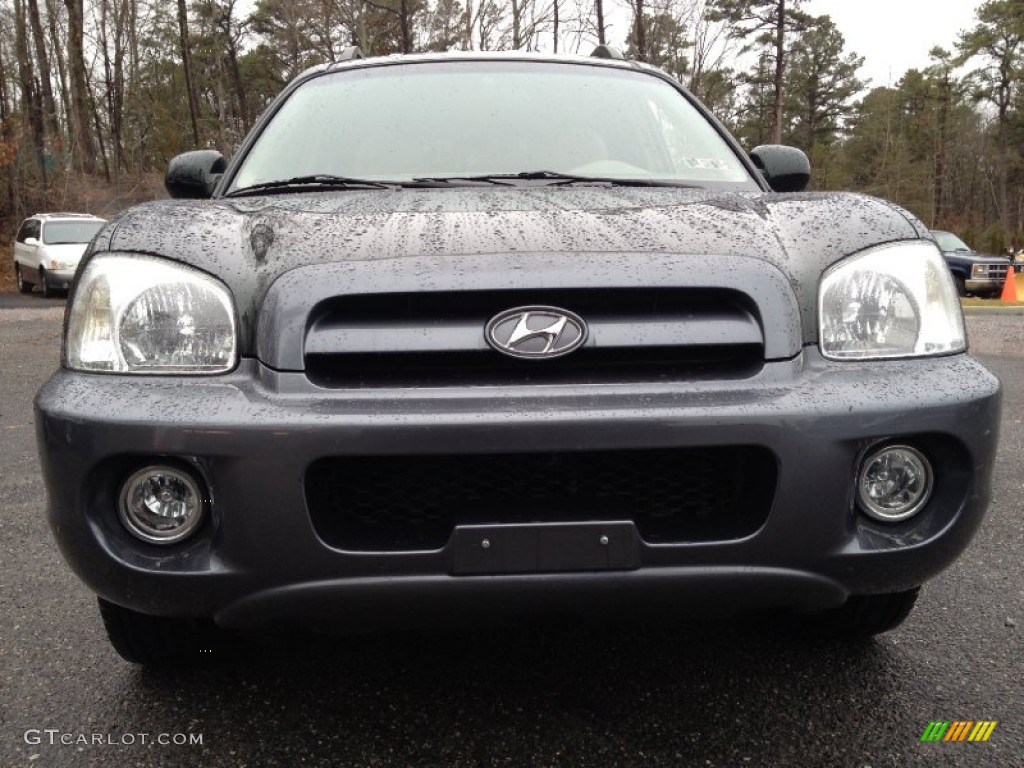 2006 Santa Fe Limited - Dark Emerald Green / Beige photo #2