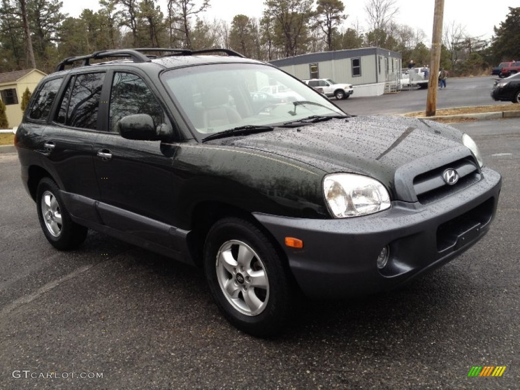 2006 Santa Fe Limited - Dark Emerald Green / Beige photo #3