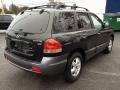 Dark Emerald Green 2006 Hyundai Santa Fe Limited Exterior