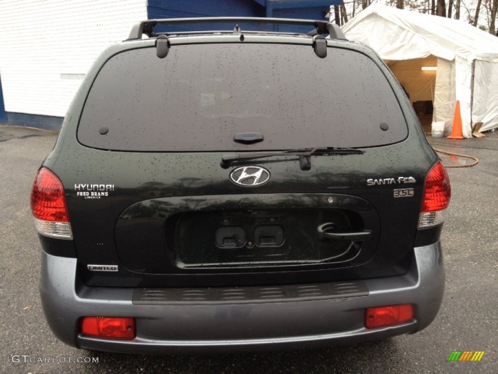 2006 Santa Fe Limited - Dark Emerald Green / Beige photo #12